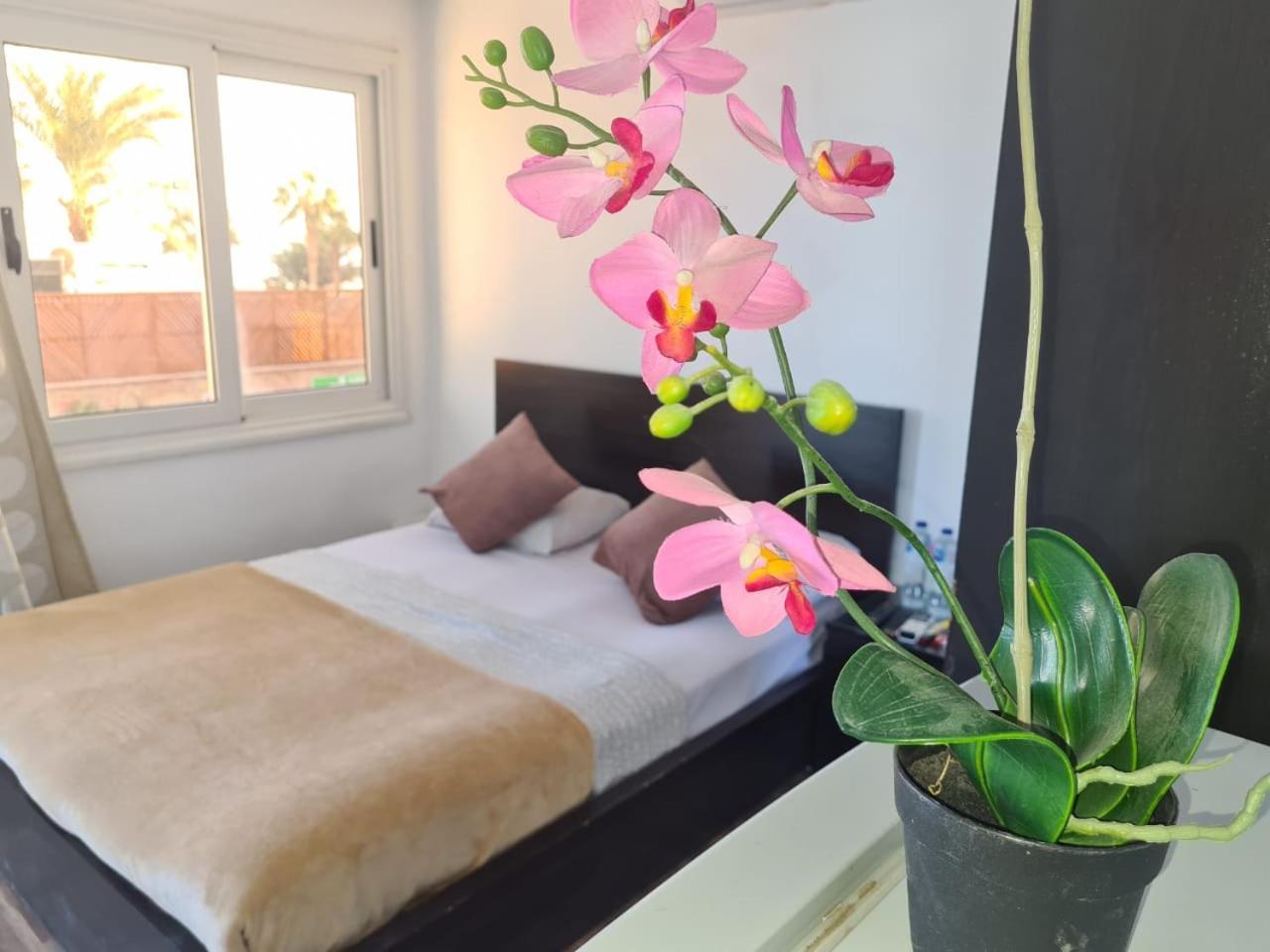Lilly Rooms And Studio Hurghada Eksteriør bilde